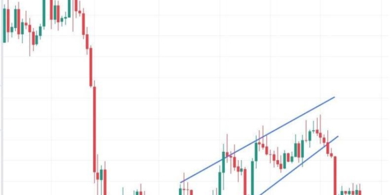 CIMG Bitcoin Hissesiyle 55 Milyon Dolar Topladı