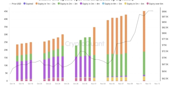 Bitcoin Opsiyon Pazarında Çağrı Yüzdesi %59’a Ulaştı