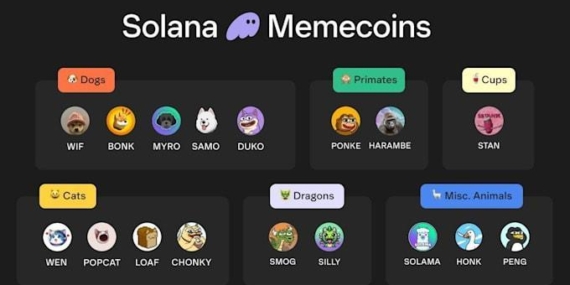 Solana Meme Coin Platformları: Fırsatlar ve Sayılar